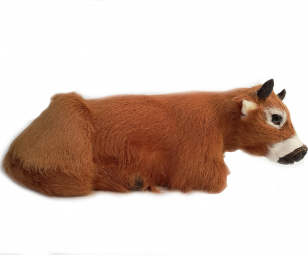 Liegender Ochse 16cm lang - zu 15-20er Figuren oder Kalb